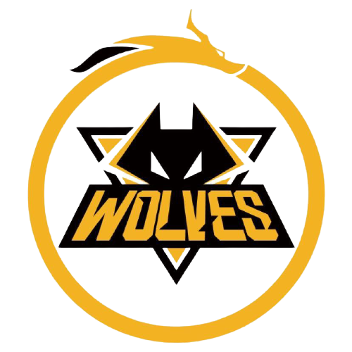 体大会的召 体大会的召