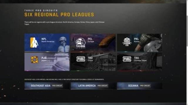 作为国内少 作为国内少