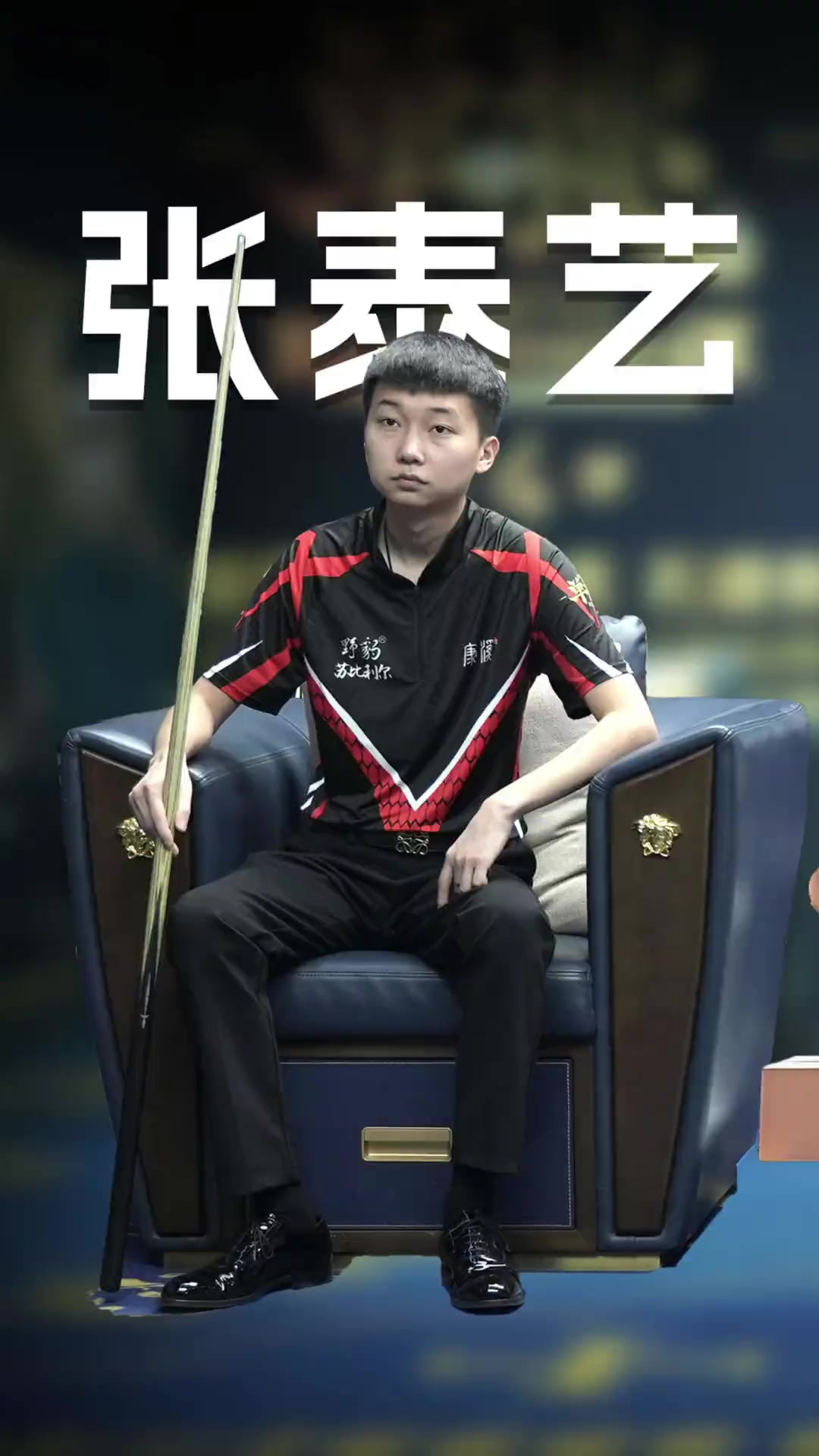 正式阶段被 正式阶段被