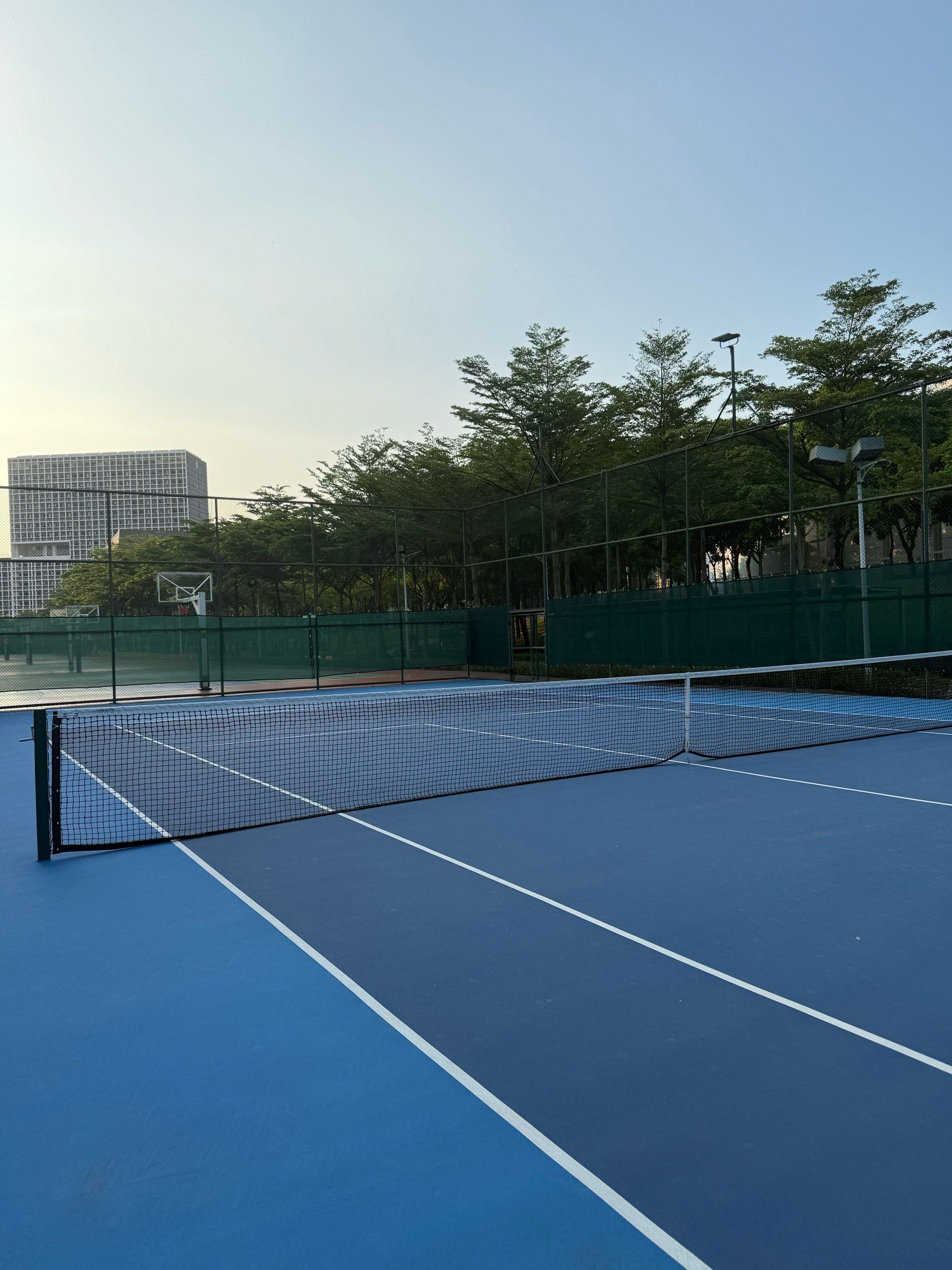 反应发生在 反应发生在