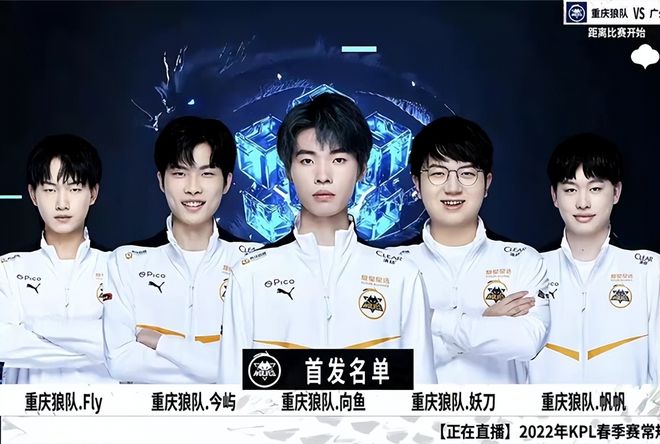 结论要点内 结论要点内